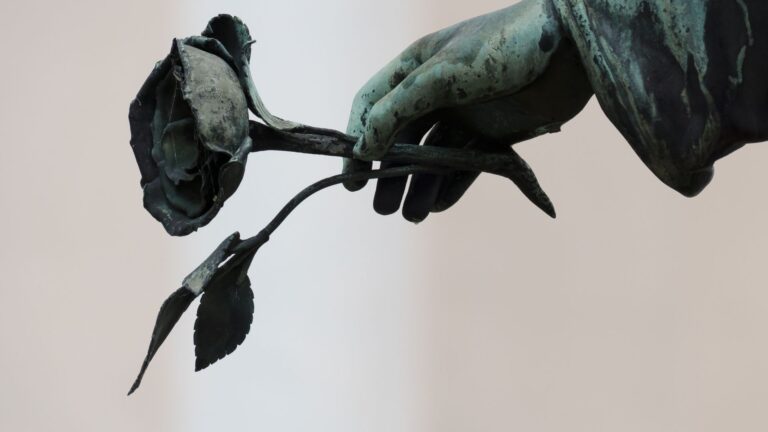 THE LAST KISS WITH DEATH