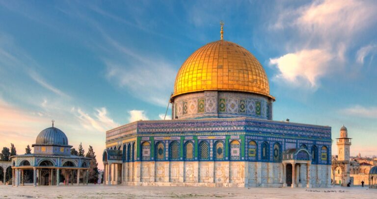 Palestine and You
