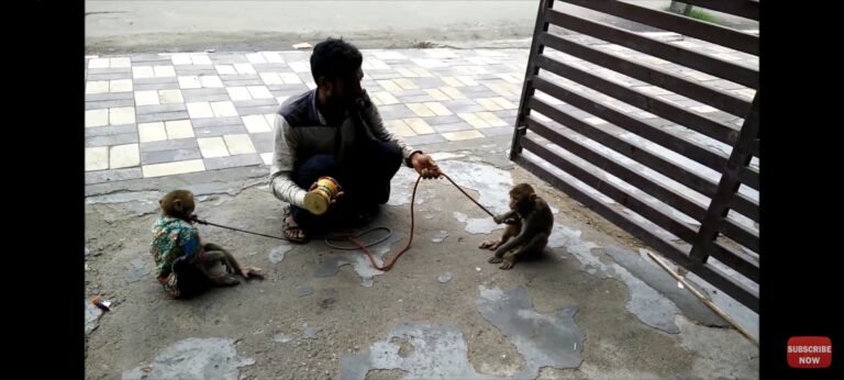 भीड़ का यथार्थ