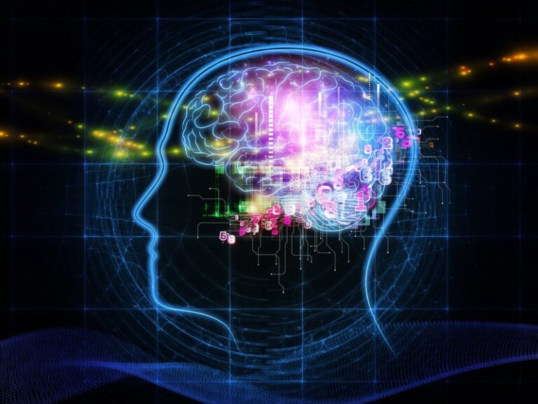 Mind and It’s Reprogramming