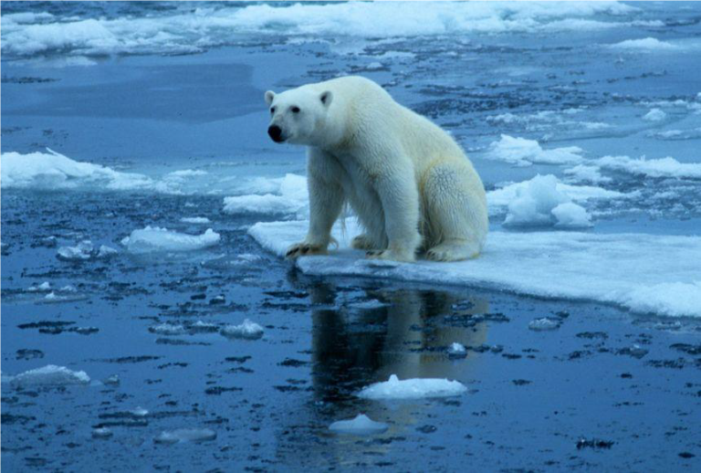 GLOBAL WARMING-A HAUNTING REALITY GLOBAL WARMING-A HAUNTING REALITY