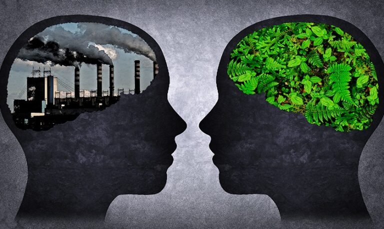 Environment v/s Development